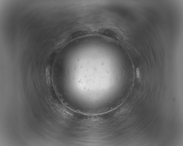 X0000057571203200509161024