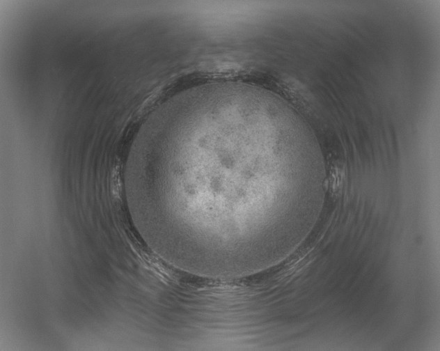 X0000057571204200509161024