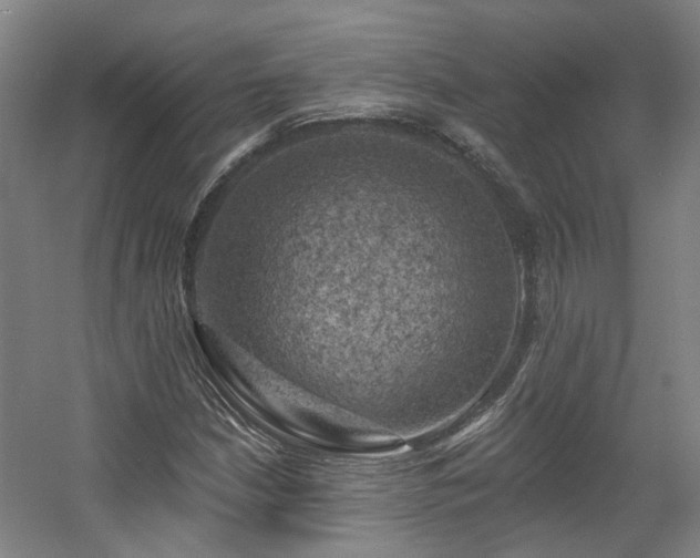 X0000057571210200509161024