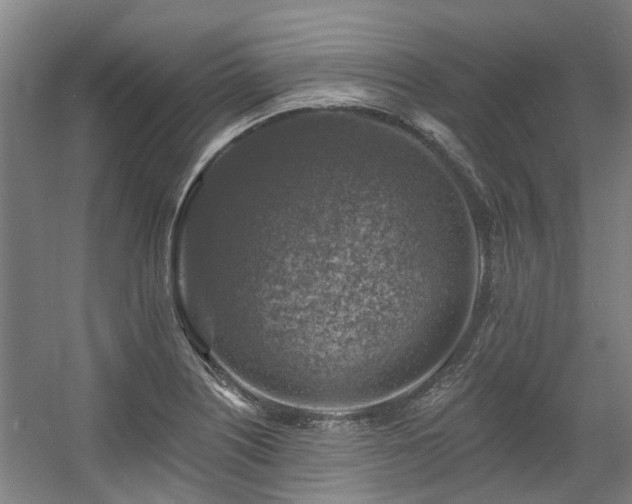 X0000057571226200509161024