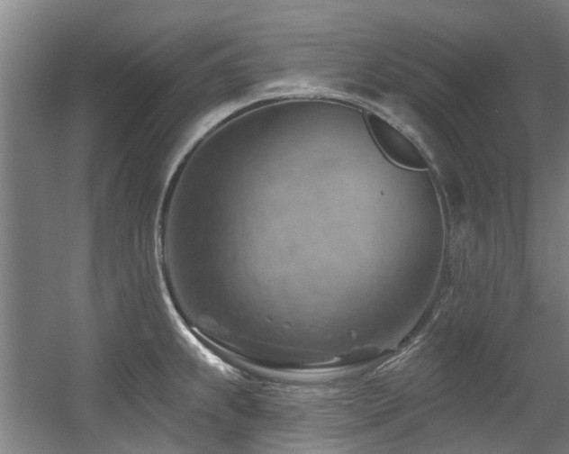 X0000057571239200509161025