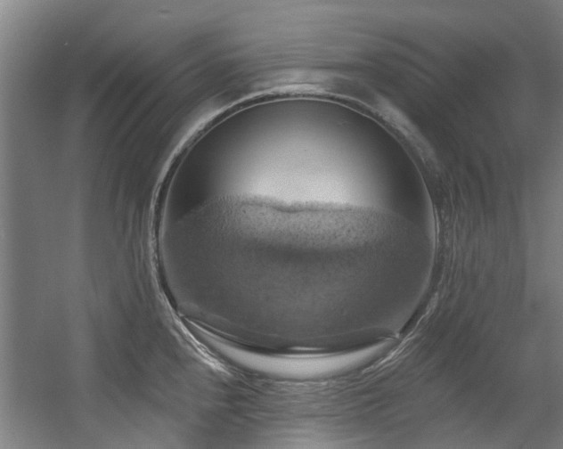 X0000057571240200509161025