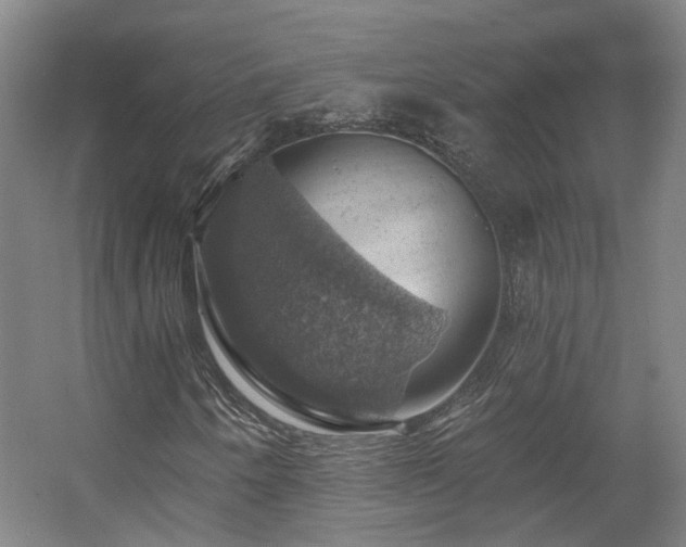 X0000057571250200509161024