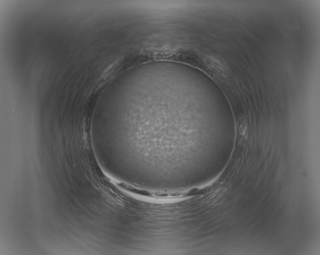 X0000057571252200509161024