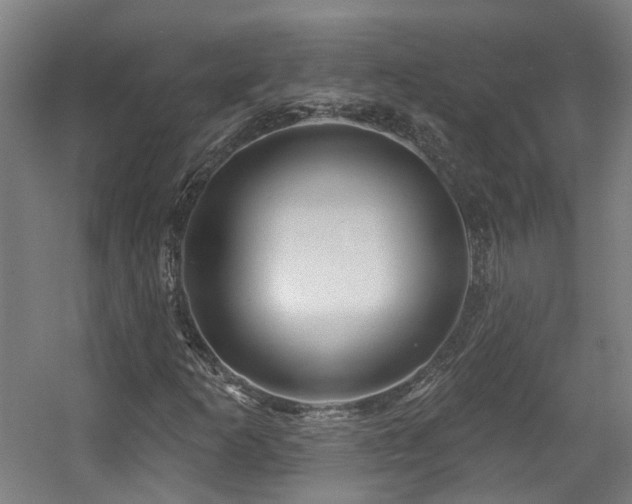 X0000057571253200509161024