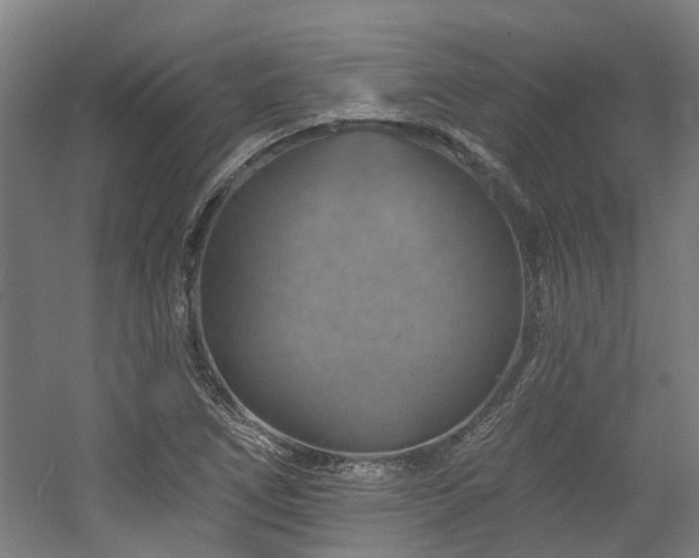 X0000057571266200509161024