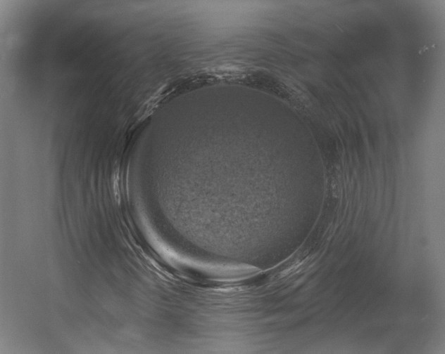 X0000057571298200509161022
