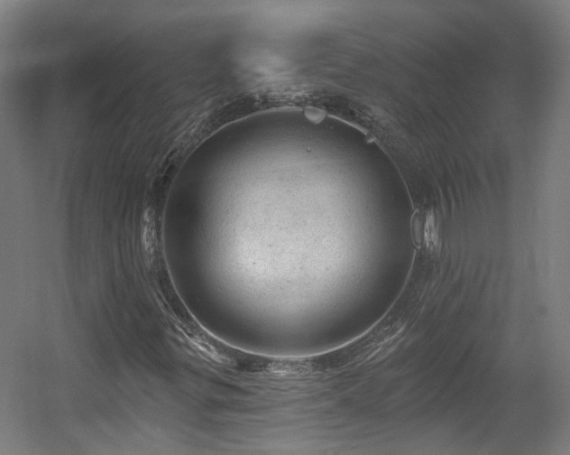 X0000057571299200509161022