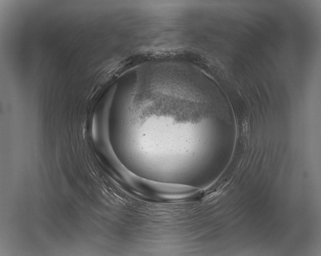 X0000057571300200509161022