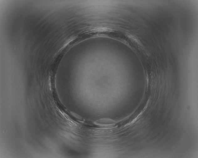 X0000057571305200509161022
