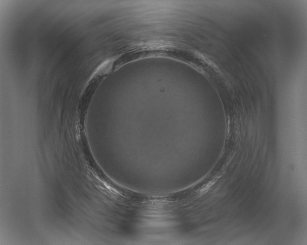 X0000057571306200509161022