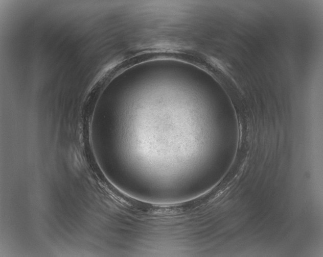 X0000057571307200509161022