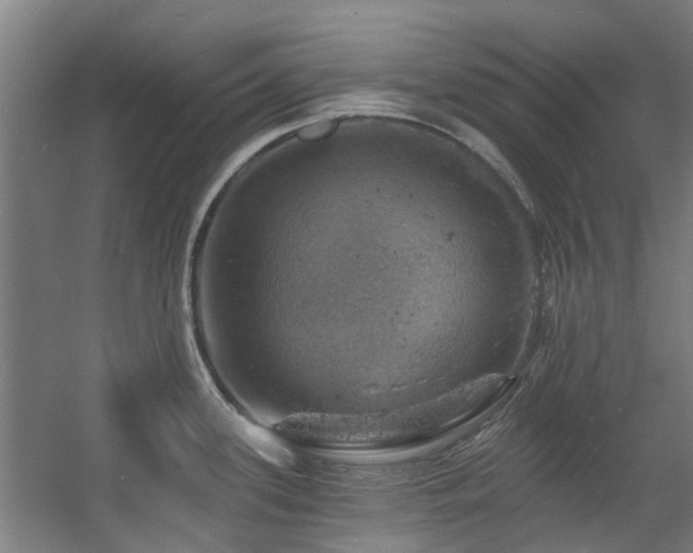 X0000057571339200509161023