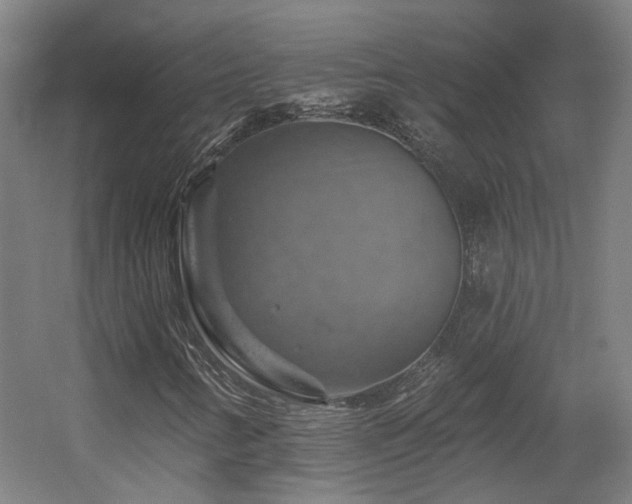 X0000057571346200509161022