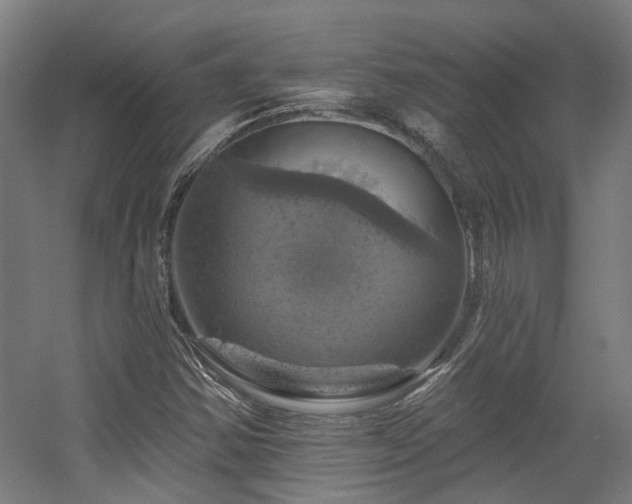 X0000057571354200509161022