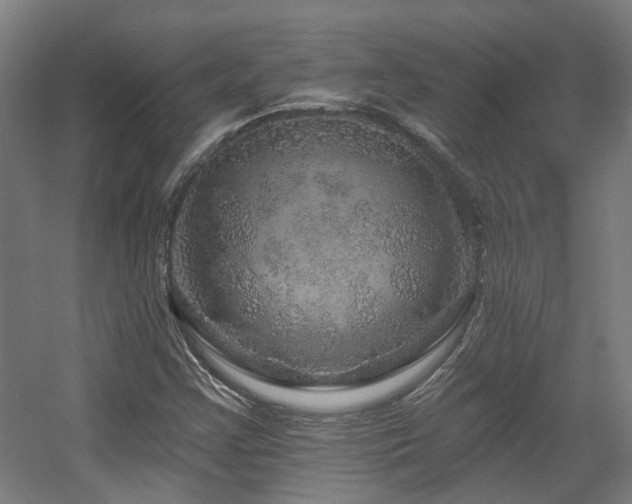 X0000057571355200509161022
