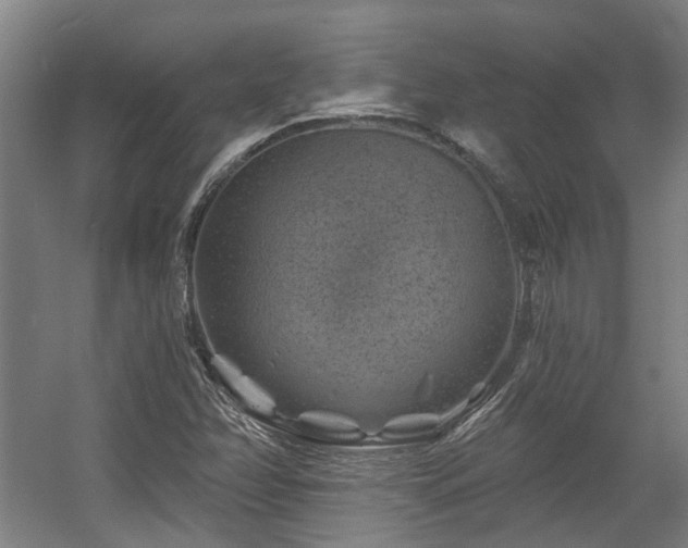 X0000057571358200509161022
