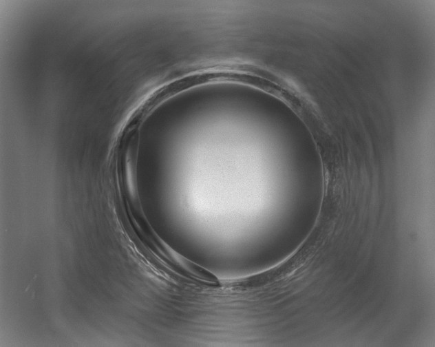 X0000057571360200509161022