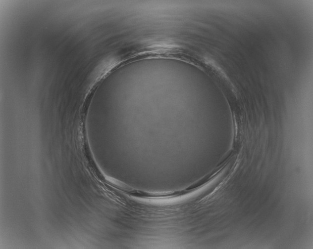 X0000057571362200509161022