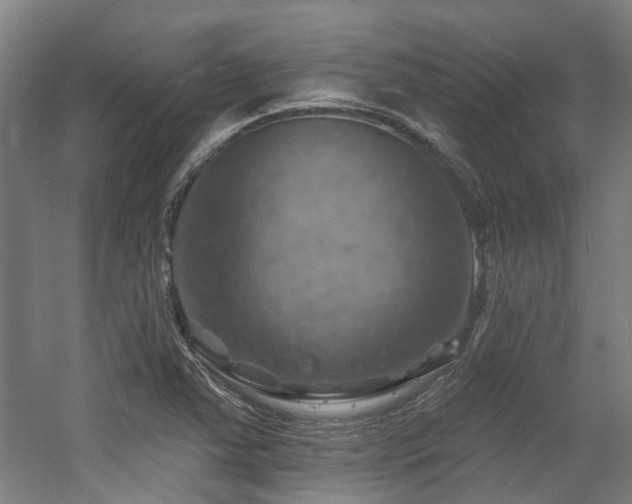 X0000057571363200509161022