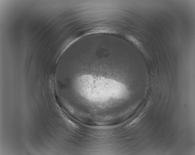X0000057571369200509161022