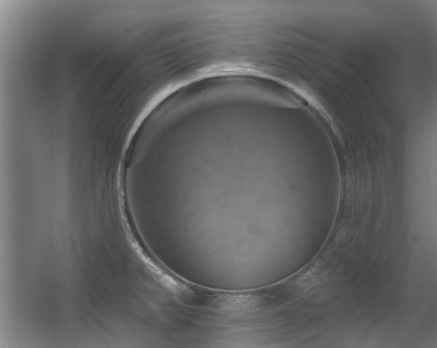 X0000057571382200509161022