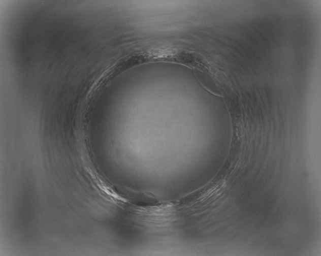 X0000057571393200509161021