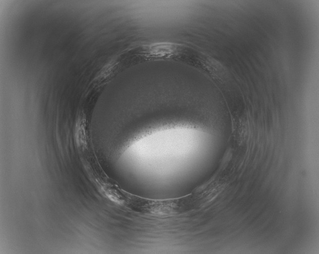 X0000057571394200509161021