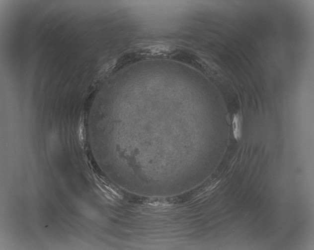 X0000057571395200509161021