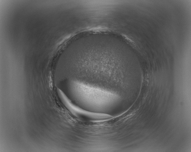 X0000057571398200509161021