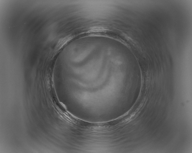 X0000057571401200509161021