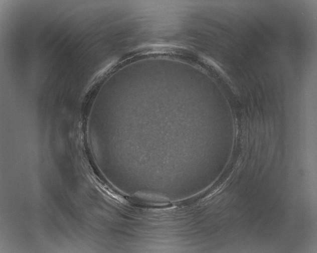 X0000057571403200509161021