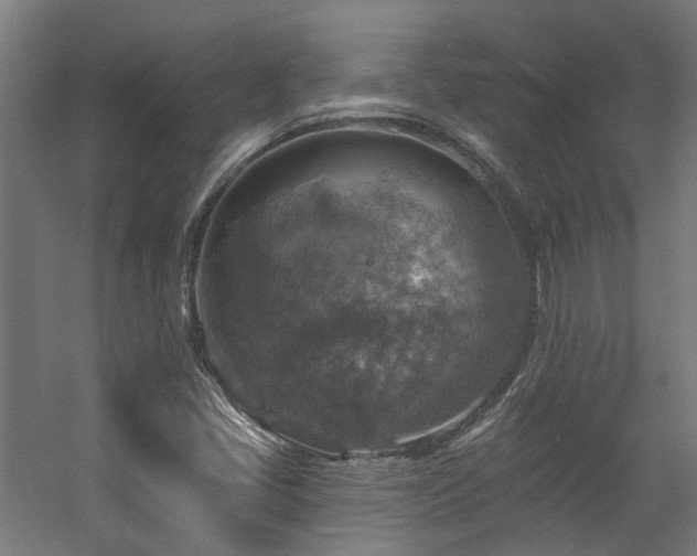 X0000057571405200509161021