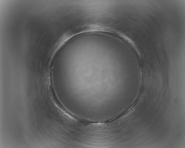 X0000057571415200509161021