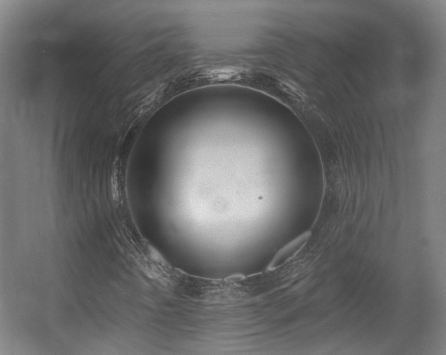 X0000057571442200509161021