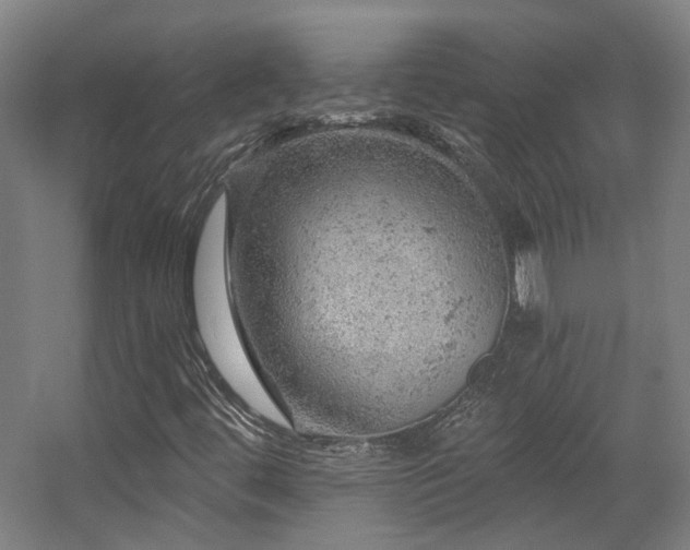 X0000057571444200509161021