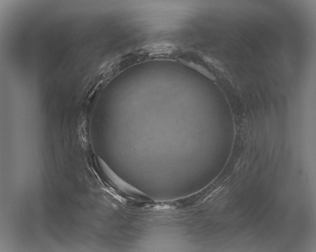 X0000057571445200509161021