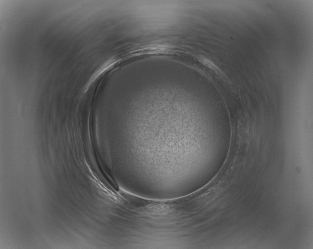 X0000057571450200509161021
