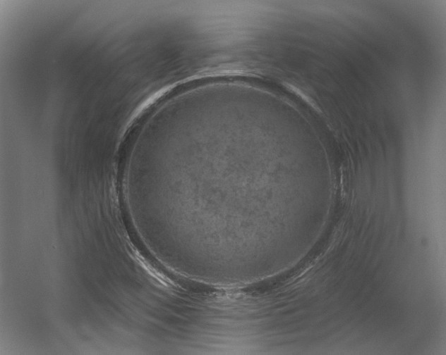 X0000057571452200509161020