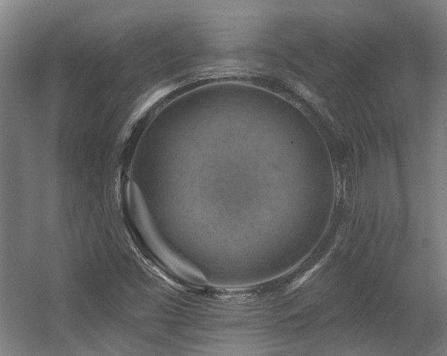 X0000057571453200509161020