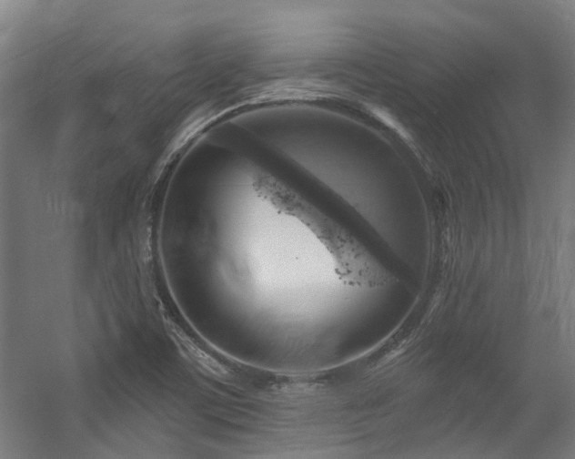 X0000057571459200509161020