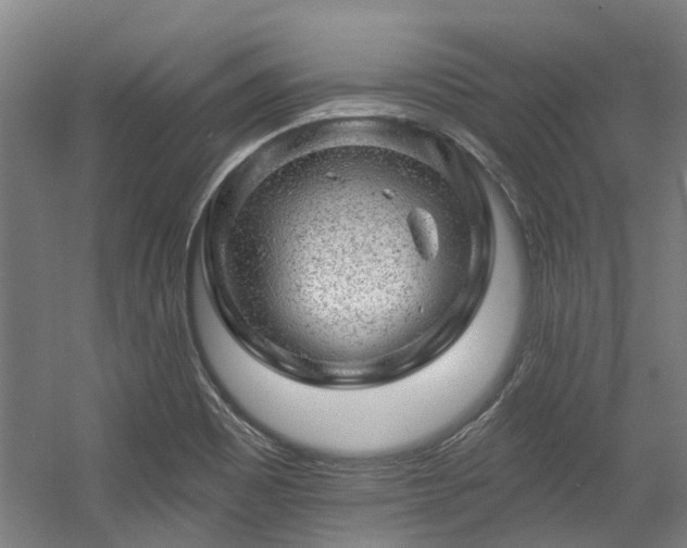 X0000057571465200509161020