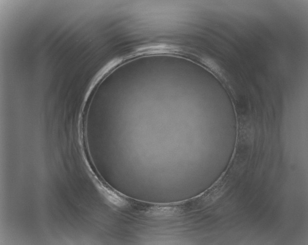 X0000057571474200509161020