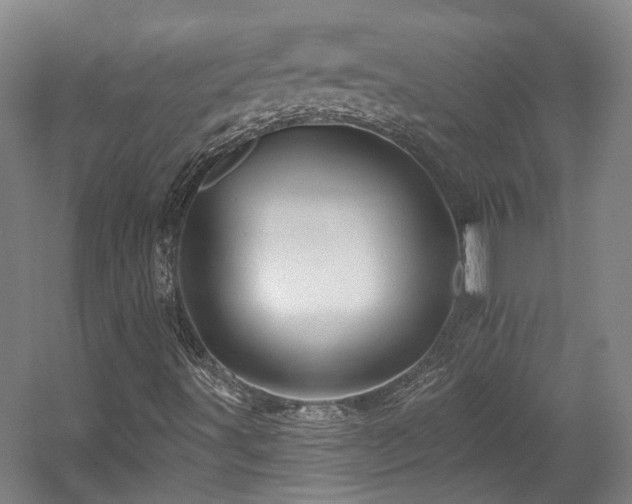 X0000057571491200509161019