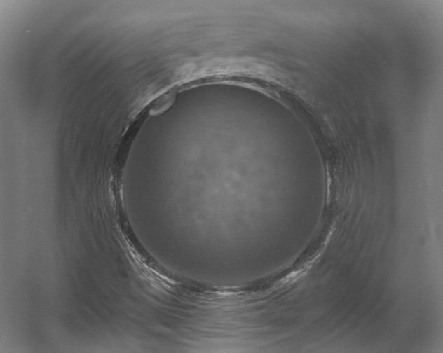 X0000057571497200509161019