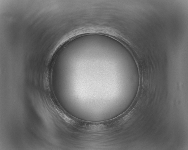 X0000057571498200509161019