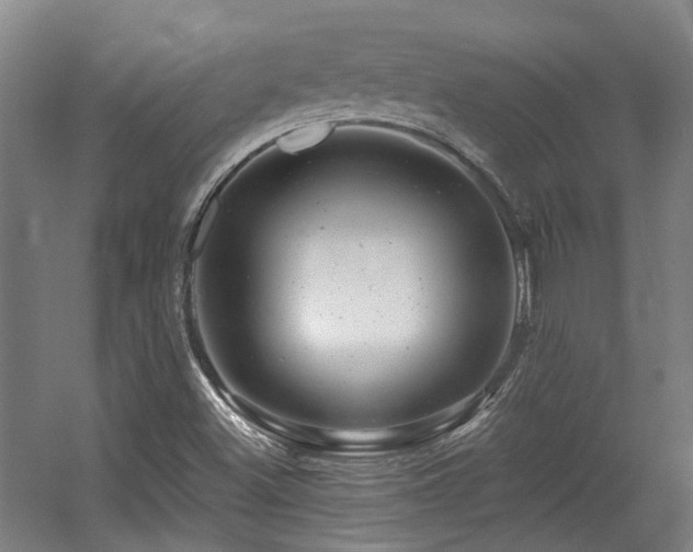 X0000057571500200509161019