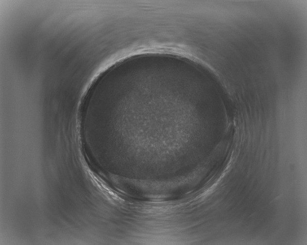 X0000057571506200509161019