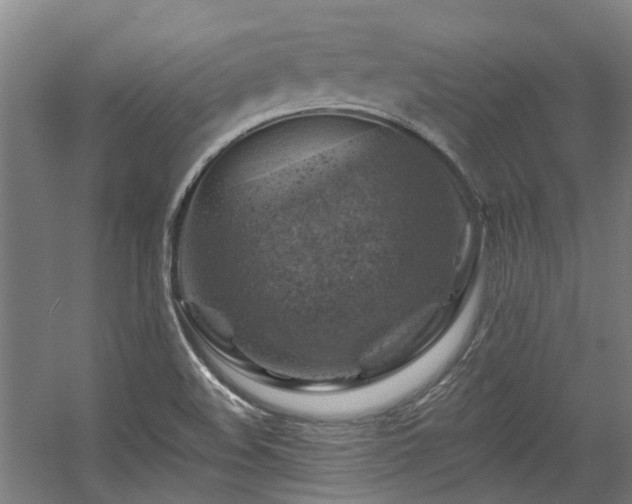 X0000057571508200509161019