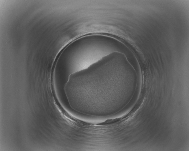 X0000057571513200509161019